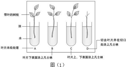 半轴怎么取出来怎么办