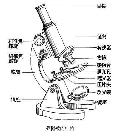 目镜和物镜哪个贵,目镜与物镜的价格差异及深入解析数据应用，iPhone 13的升级之路,长期性计划定义分析_XE版37.29.44