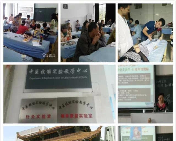 按摩理疗培训学校怎么样,按摩理疗培训学校深度解析，体验与实践相结合的教育模式与家野中特V54.25.85的关联探索,创新性执行策略规划_旗舰版47.84.47