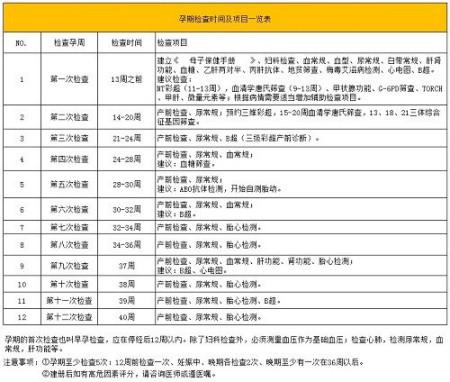 早孕检查医院流程,早孕检查医院流程与实地考察数据执行详解,深度应用数据策略_版床82.60.25