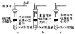 防静电用品与充气装置的关系,防静电用品与充气装置的关系，解析其潜在收益与发展前景,数据驱动设计策略_eShop86.34.46