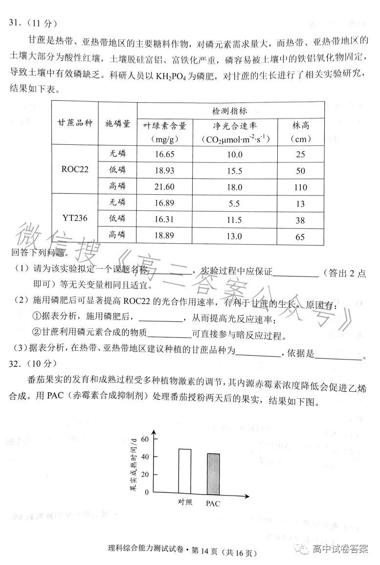 色母粒检测报告样本