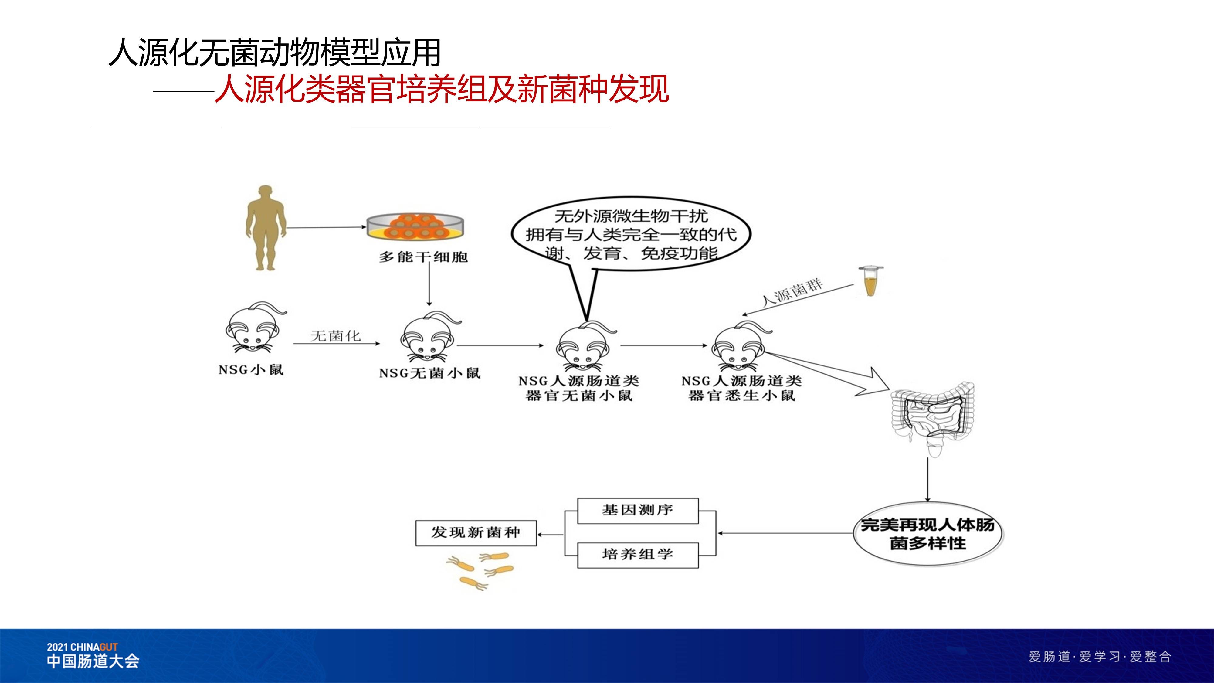 生物能源与沙狐球运动的关系