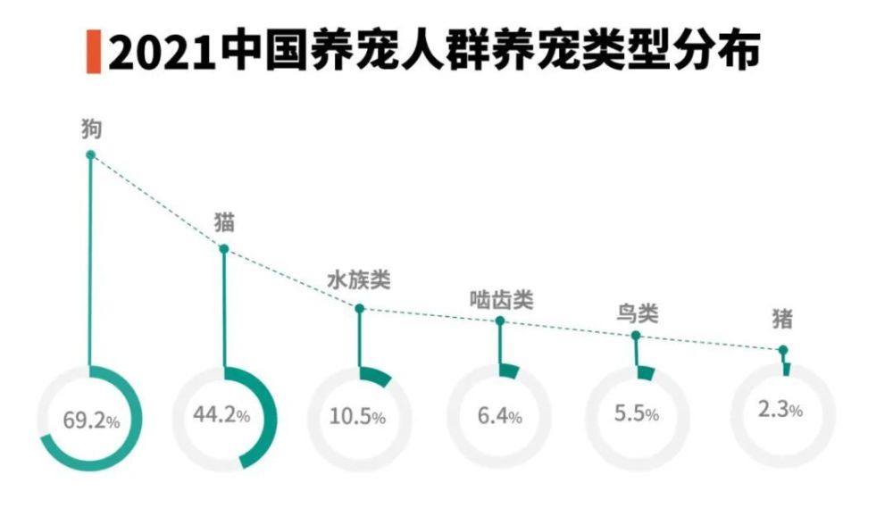 宠物窝设计图