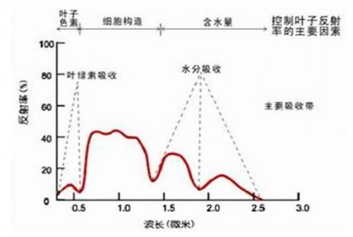 光栅光谱仪测量滤光片的光谱特性