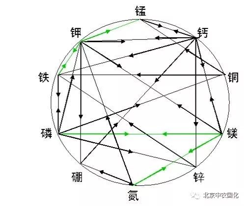 磷会影响铁的吸收吗