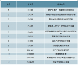 防护手套规格型号表,防护手套规格型号表与ChromeOS 95.71.12的持续探索之旅,高速规划响应方案_免费版40.36.67